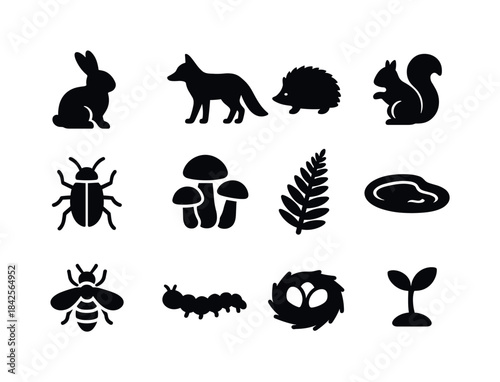 Forest Glade Icons. Forest glade life. Solid icon set of forest
