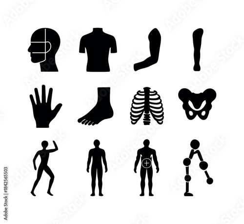 Human Anatomy Icons. Human anatomy sketching. Solid icon set of