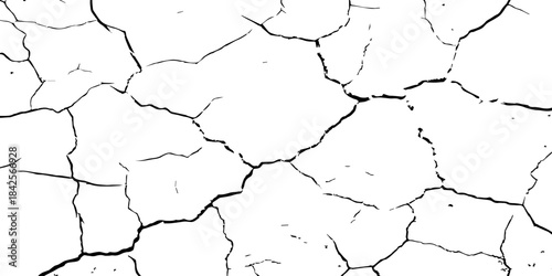 High-contrast cracked texture on a white background, featuring organic fracture lines and distressed surface details. Perfect for abstract backgrounds, grunge design, overlays, and artistic effects.