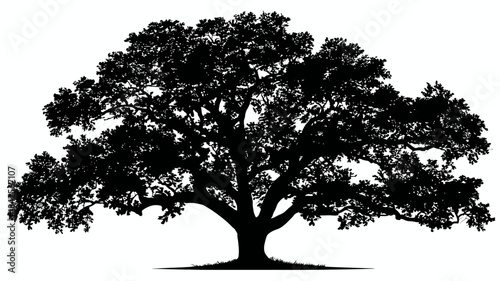 Powerful mature tree silhouette isolated on white, symbolizing strength, nature, and growth. Detailed vector graphic illustration.