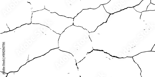 High-contrast cracked texture on a white background, featuring organic fracture lines and distressed surface details. Perfect for abstract backgrounds, grunge design, overlays, and artistic effects.