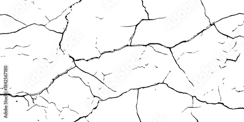 High-contrast cracked texture on a white background, featuring organic fracture lines and distressed surface details. Perfect for abstract backgrounds, grunge design, overlays, and artistic effects.