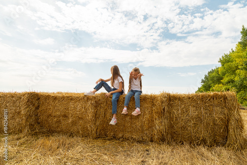 Children sitting on bales of hay on the field on sunny day