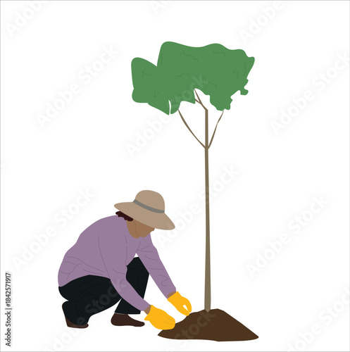 woman planting a tree. Young eco volunteer girl plants a tree.