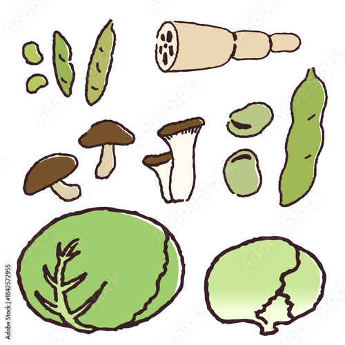 手描きの野菜、豆類、きのこ類