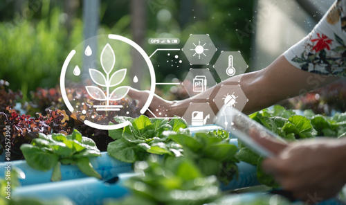 A person interacts with hydroponic plants, utilizing technology to monitor growth conditions such as moisture, sunlight, and temperature.