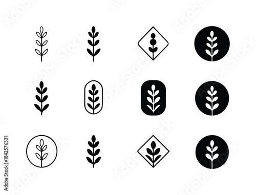 Nature Vibe Logos. Nature vibe package design with flowers and p