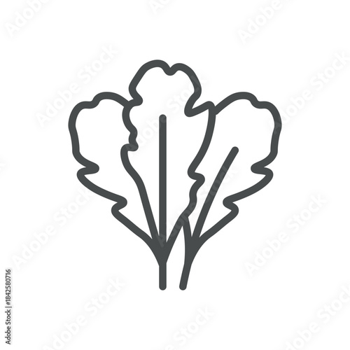 Rucola Icon. Thin Line Illustration of Arugula Leaves, Symbolizing Peppery Salad Greens, Mediterranean Herb and Fresh Gourmet Ingredient. Isolated Outline Vector Sign.