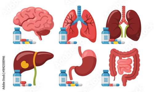 Human internal organs collection with medication and prescription bottle icons for health concepts