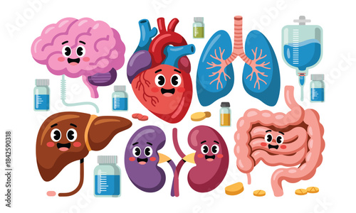 A set of cartoon human internal organs with cute faces for medical illustration