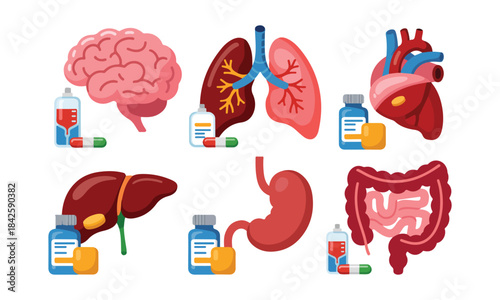 Human body organs with medical treatment symbols representing health and wellness concept