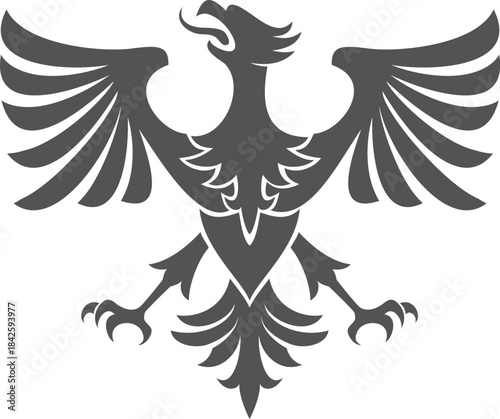 A black and white bird with a red beak and orange feathers