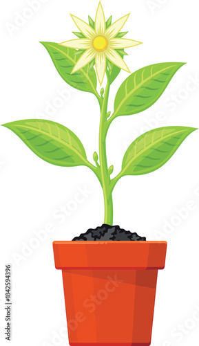 A small plant is in a red pot