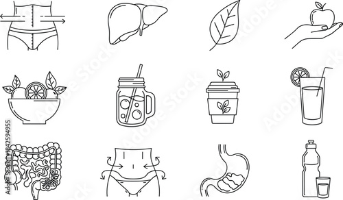 Health, nutrition, digestion, wellness, icon, symbol, fruit, drink, stomach, waist, vector, illustration, CAD, drawing, flat, design, template, detox, body