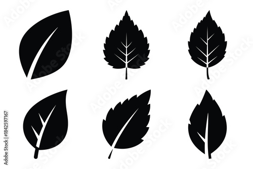 Set of leaf eco icon silhouette vector art illustration