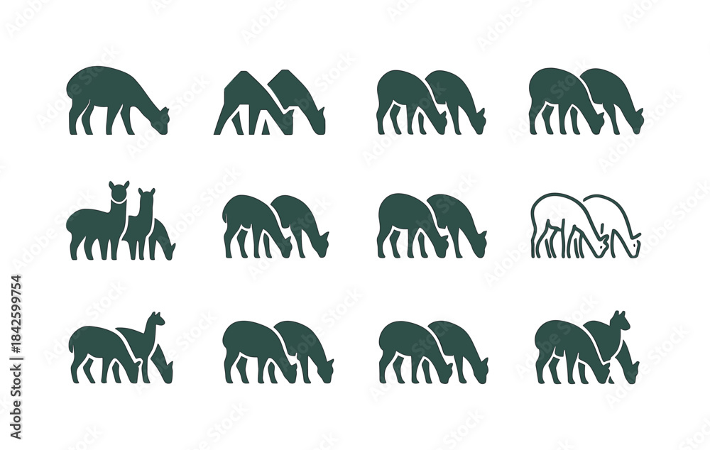 Fototapeta premium Alpaca Logo Variations. Alpacas grazing. Icon set. Set Logo of a
