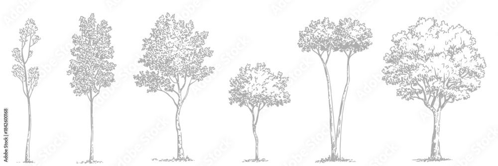 Obraz premium Minimalist CAD Tree Line Set Featuring Wetland Forest Section Outlines and Landscape Design Elements in Clean Vector Illustration for Architectural Drawings