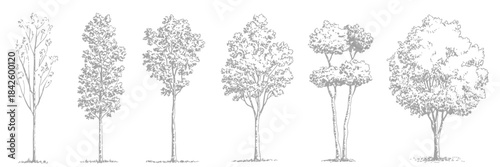 Minimalist CAD Tree Line Set Featuring Wetland Forest Section Outlines and Landscape Design Elements in Clean Vector Illustration for Architectural Drawings