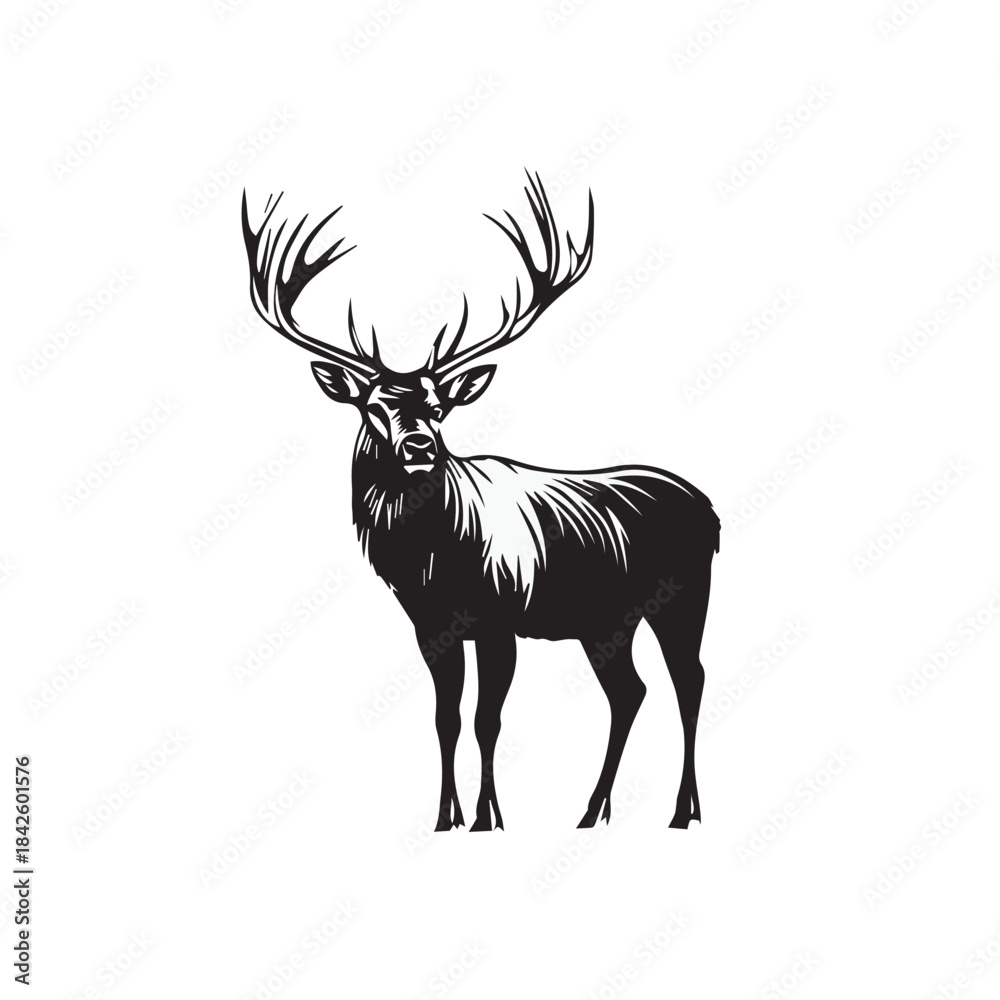 Obraz premium deer silhouette vector