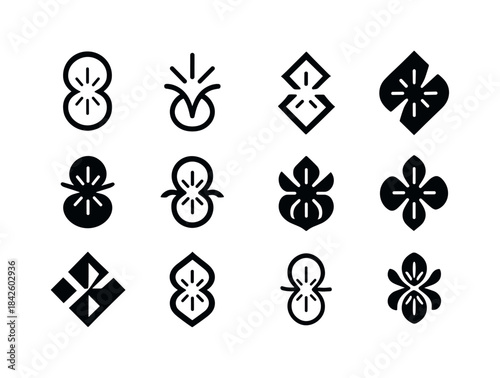 Synthesis Icon Variations. Synthesis. Icon set. Set Logo of synt