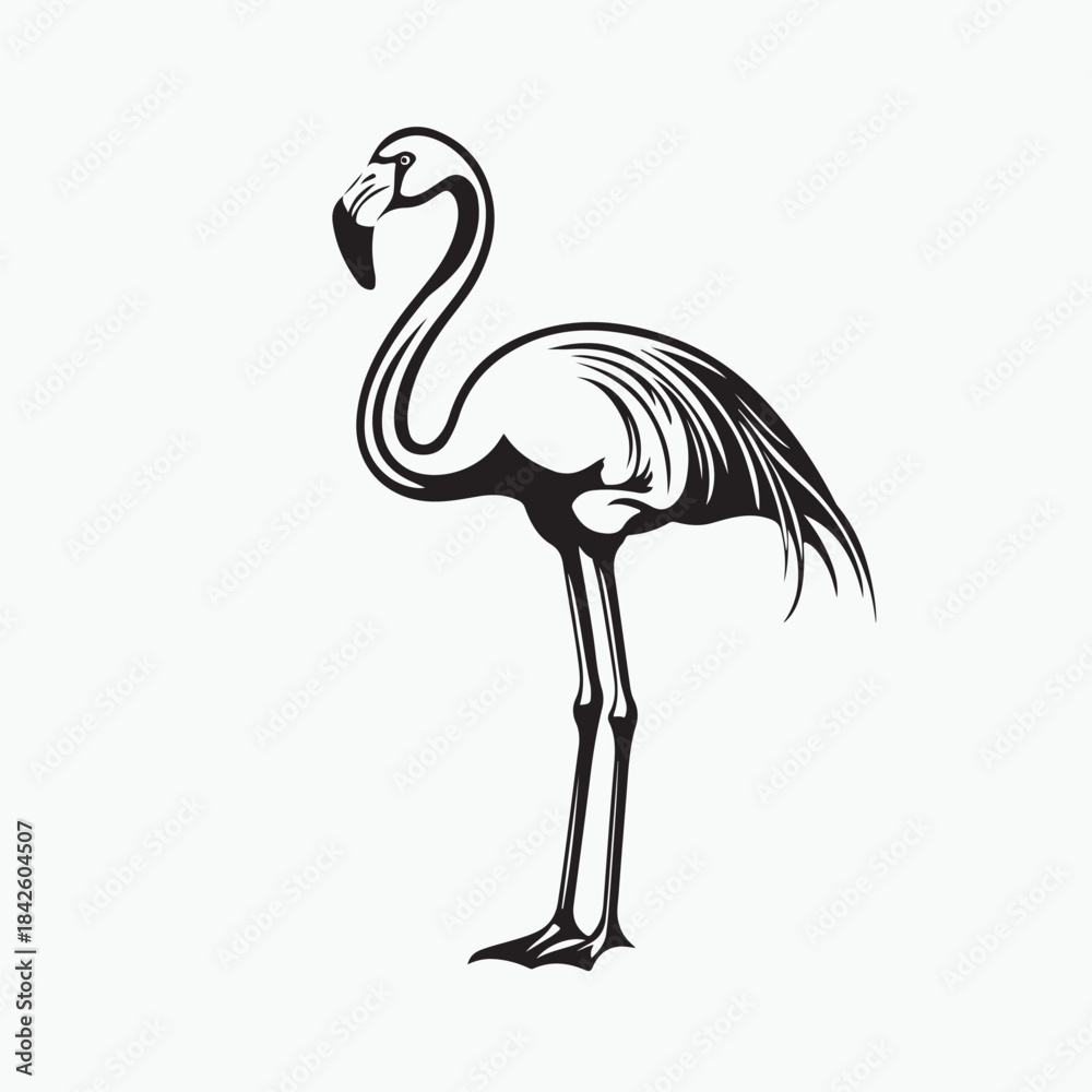 Fototapeta premium flamingo vector illustration