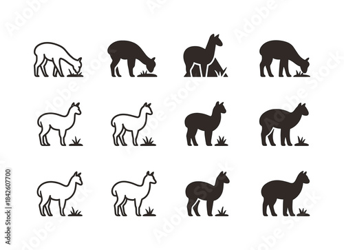 Alpaca Logo Collection. Alpacas grazing. Icon set. Set Logo of a