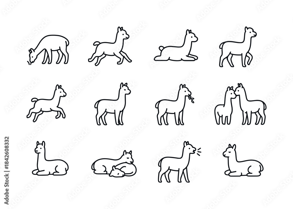 Naklejka premium Alpaca Activity Icons. Alpaca activities. Line icon set of Alpac