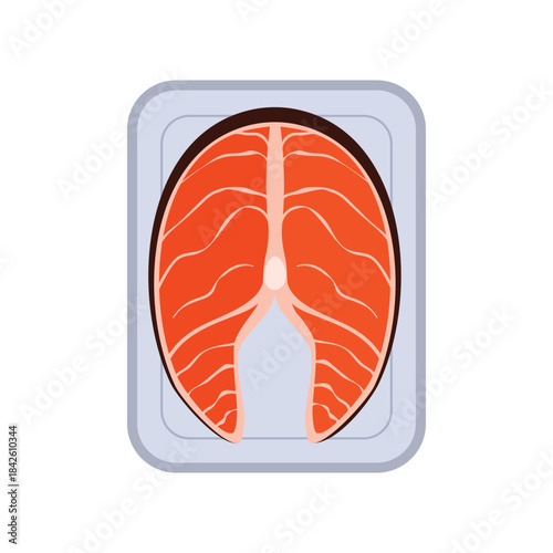 Plastic tray with salmon steak, top view of white rectangular container vector illustration