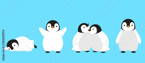 Adorable baby emperor penguin chick characters set posing in various cute ways isolated on blue background