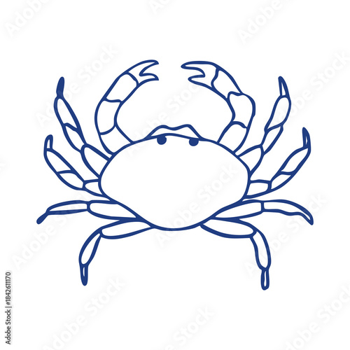 Crab in sketch style, with loose and irregular lines, hand-drawn in a doodle. 