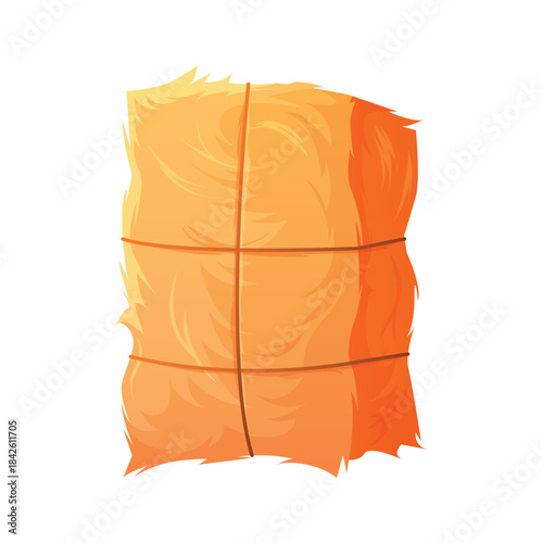 Hay harvest in rectangular bundle with ropes, countryside farm agriculture haystack vector illustration