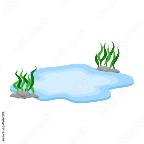 Cartoon Water Pond with Rocks and Seaweed