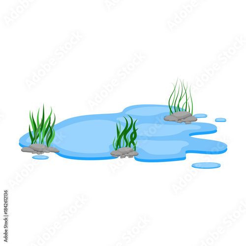 Cartoon Water Pond with Rocks and Seaweed