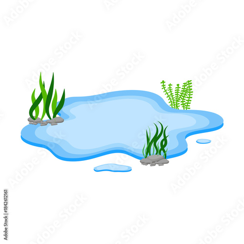 Cartoon Water Pond with Rocks and Seaweed