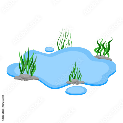 Cartoon Water Pond with Rocks and Seaweed