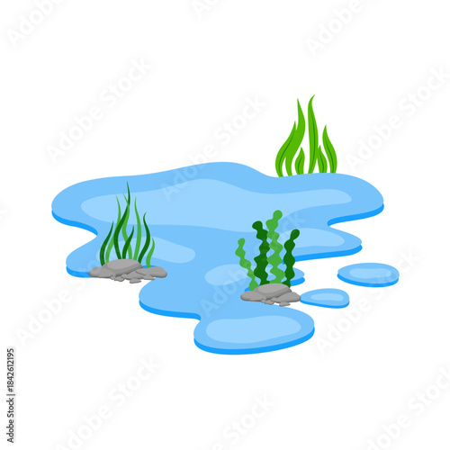 Cartoon Water Pond with Rocks and Seaweed