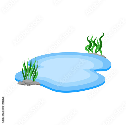 Cartoon Water Pond with Rocks and Seaweed