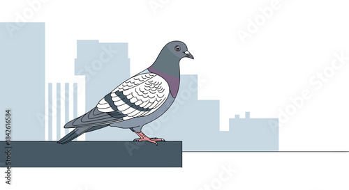 Detailed illustration of a common city pigeon or rock dove perched on a ledge against a stylized, muted urban skyline background.