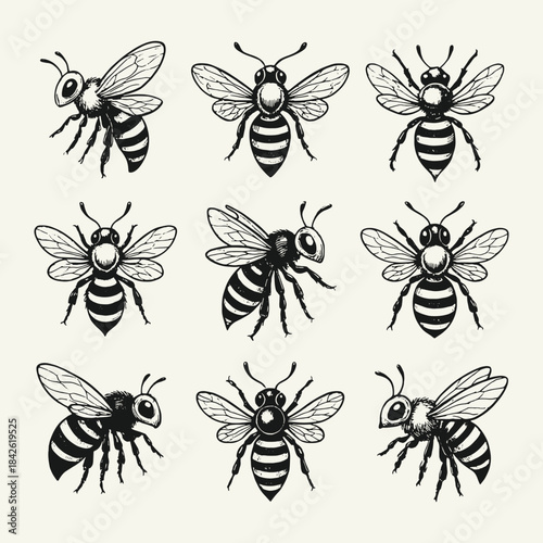Comprehensive vector icon set of detailed honey bees in various flight and standing poses, illustrated in a vintage monochrome style for nature, insect, and honey branding designs.
