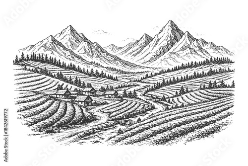 Vintage woodcut illustration of terraced vineyards stretching across rolling hills with mountains in the distance, representing winemaking, agriculture, and scenic landscape vectors.