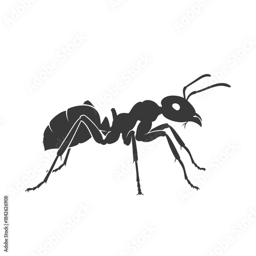 Ant Silhouette Icon – Insect Bug Minimal Black Vector Illustration