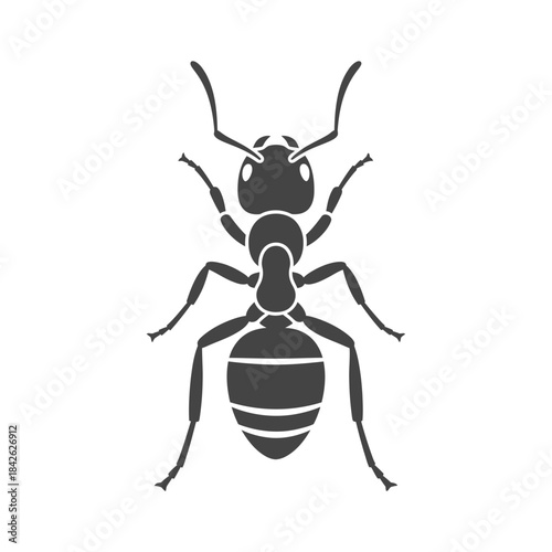 Ant Silhouette Icon – Insect Bug Minimal Black Vector Illustration