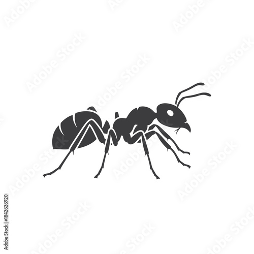 Ant Silhouette Icon – Insect Bug Minimal Black Vector Illustration