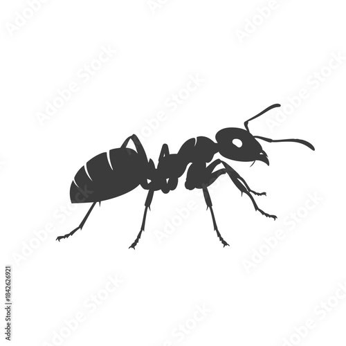 Ant Silhouette Icon – Insect Bug Minimal Black Vector Illustration