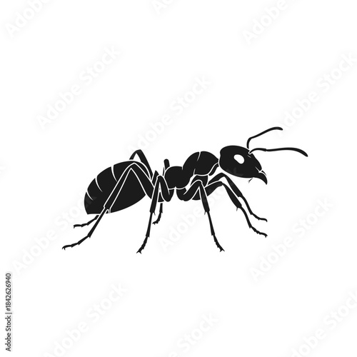 Ant Silhouette Icon – Insect Bug Minimal Black Vector Illustration