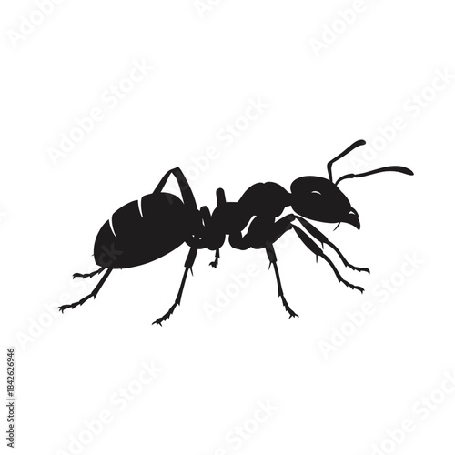 Ant Silhouette Icon – Insect Bug Minimal Black Vector Illustration