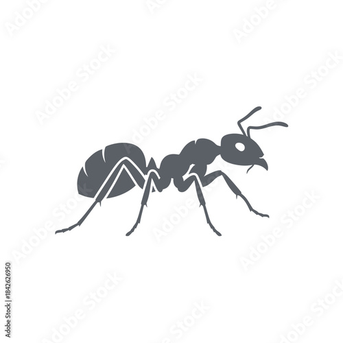 Ant Silhouette Icon – Insect Bug Minimal Black Vector Illustration