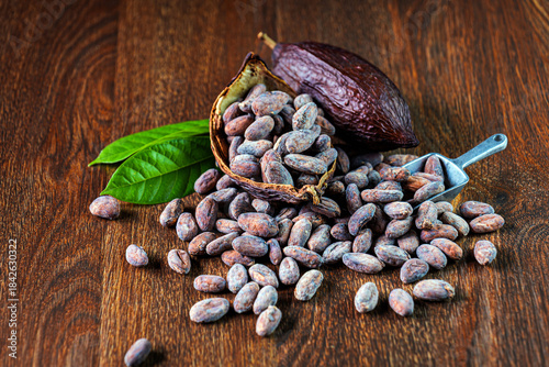 Cocoa beans, organic cacao bean or dried cocoa beans and cacao pod on brown background