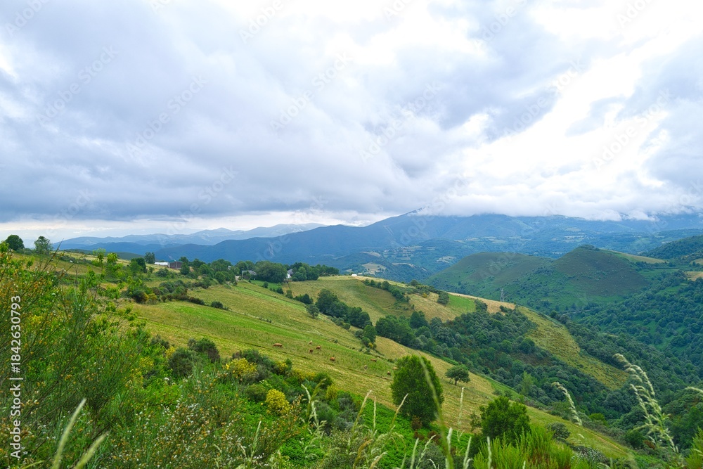 Fototapeta premium 경관, sky, 마운튼, 네이처, 목초, green, 여름, 들판, 목초지, 구름, 나무, 고개, 경치, 시골, 봄, 농촌, 수평선, 계곡, 태양, beautiful, 장면