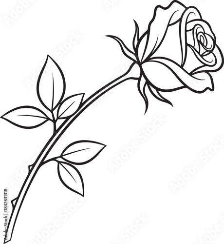 black and white flower Single Rose Outline Vector: Black and White Elegant Flower Drawing

Coloring Page Rose Bud and Stem: Floral Line Art Illustration

Romantic Rose Tattoo Design Template: Black Li